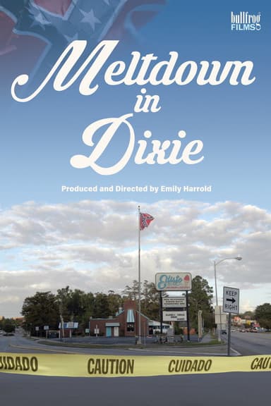 Meltdown in Dixie poster