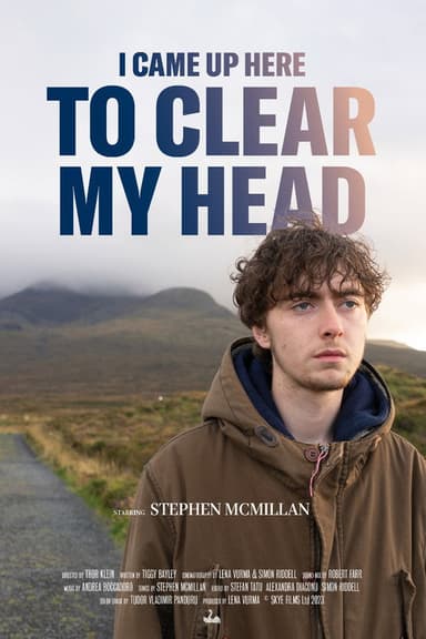 I Came Up Here To Clear My Head poster