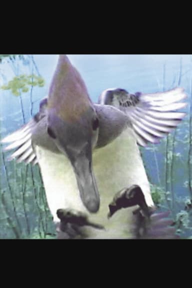 Ride of the Mergansers poster