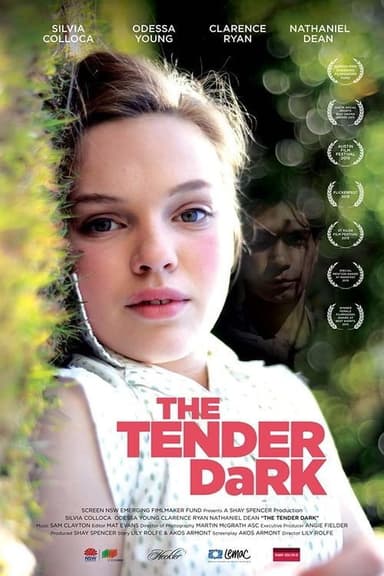 The Tender Dark poster