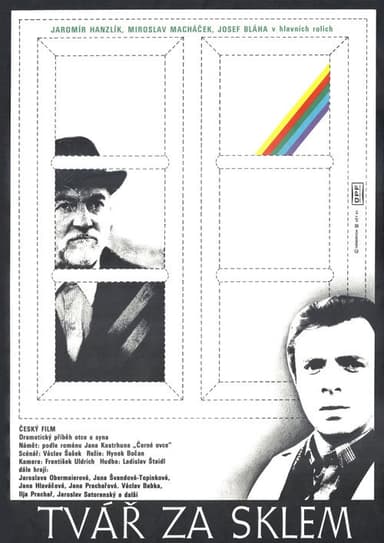 Tvář za sklem poster