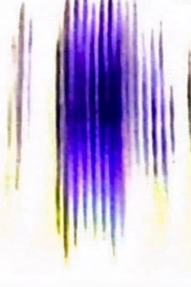 Videoviolín poster