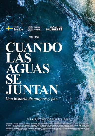 When the waters meet poster