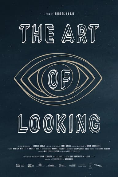 The Art of Looking poster
