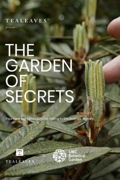 The Garden of Secrets poster