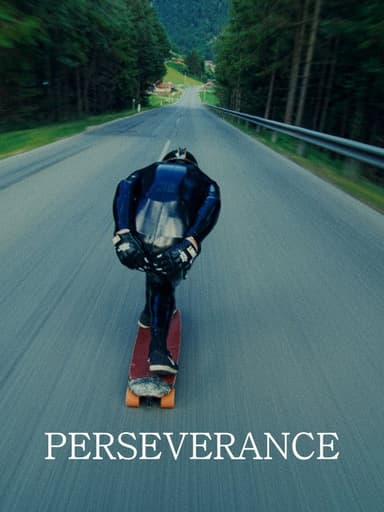 Perseverance poster