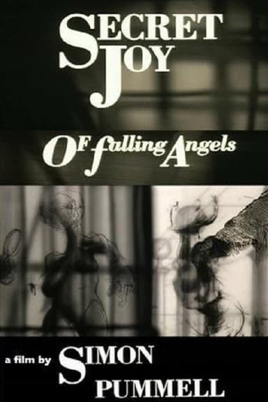 Secret Joy of Falling Angels poster