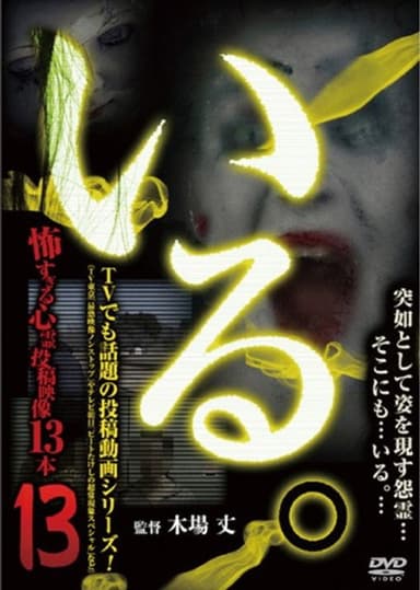 「Iru.」~ Kowasugiru Tōkō Eizō 13-hon ~ Vol.13 poster