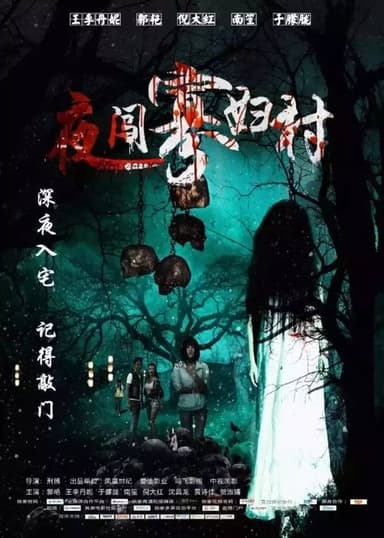 Intrude The Widow Village at Midnight poster