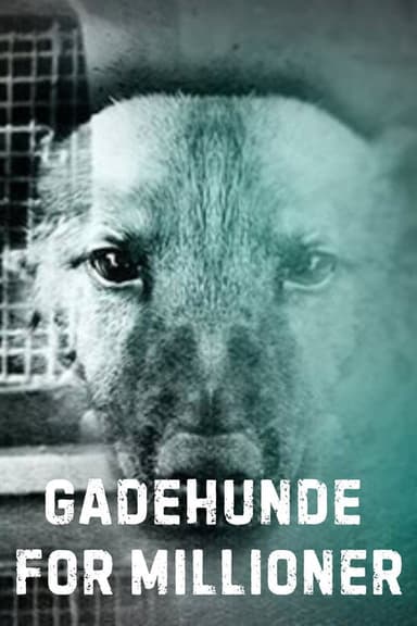 Gadehunde for millioner poster