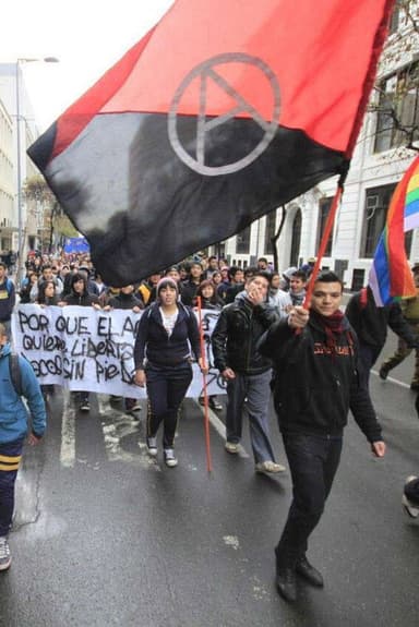 Evade: Inside Chile's Anti-Capitalist Uprising poster