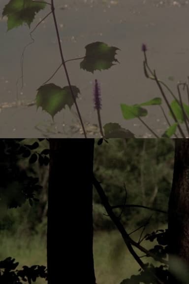 Under a Tree poster