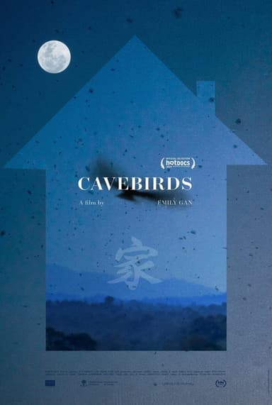 Cavebirds poster