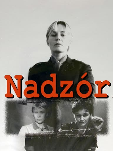 Custody poster