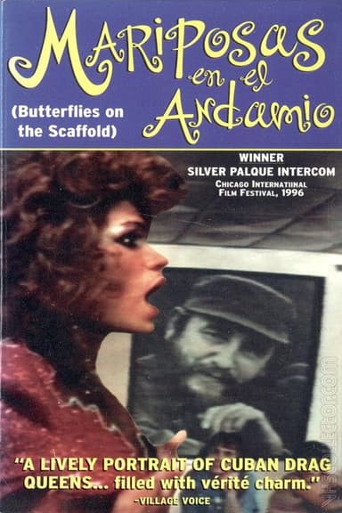 Butterflies on the Scaffold poster