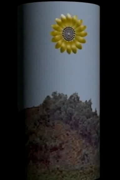 Photosyntesi poster