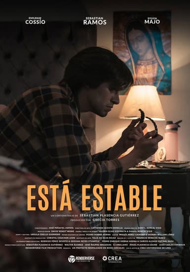 She Is Stable poster