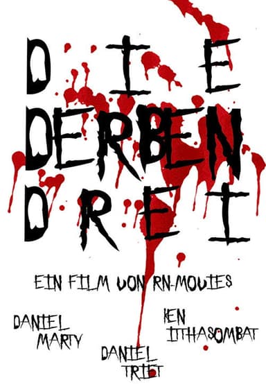 Die Derben Drei poster