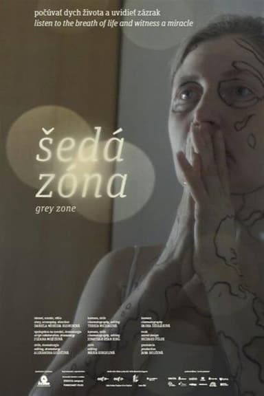 Grey Zone poster