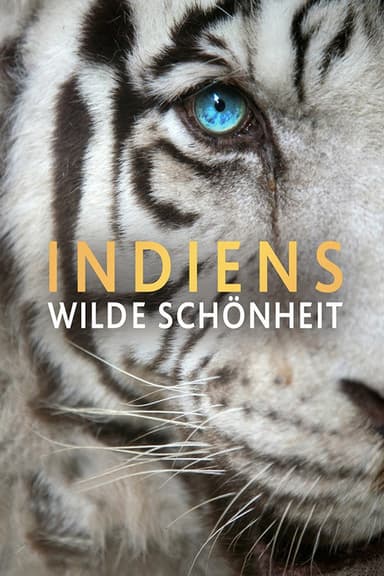 India's Wild Beauty poster