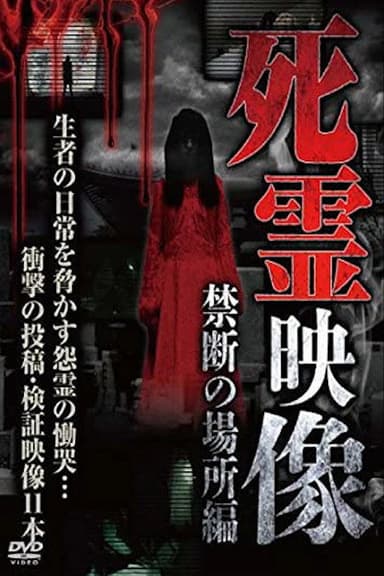 Dead Spirit Video: Forbidden Place poster