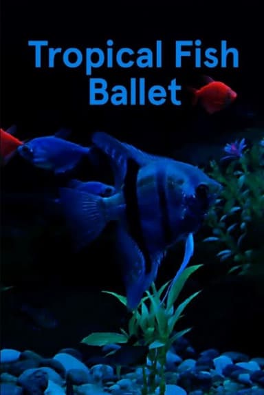 Tropical Fish Ballet poster