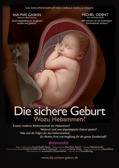 Die sichere Geburt poster