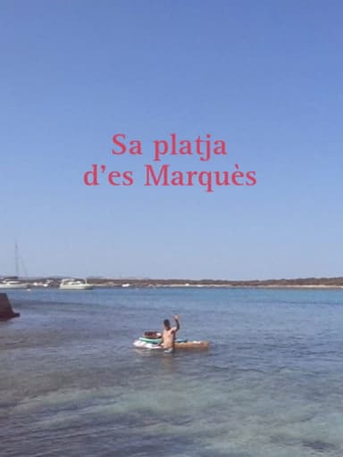 Sa platja d'es Marquès poster