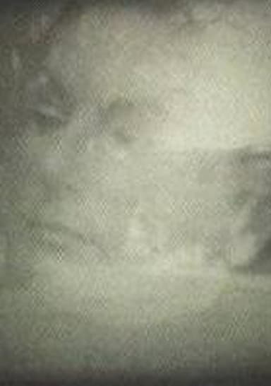Yo veo conejos poster