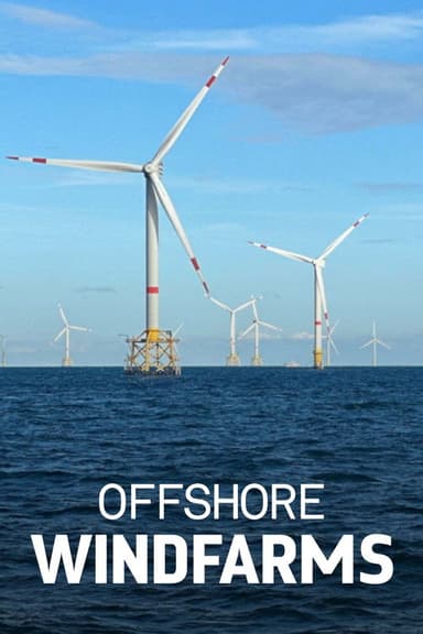 Windparks im Meer - Chance oder Risiko für die Natur? poster