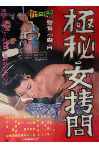 Absolutely Secret: Girl Torture poster