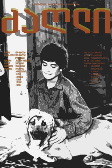 The Dog poster