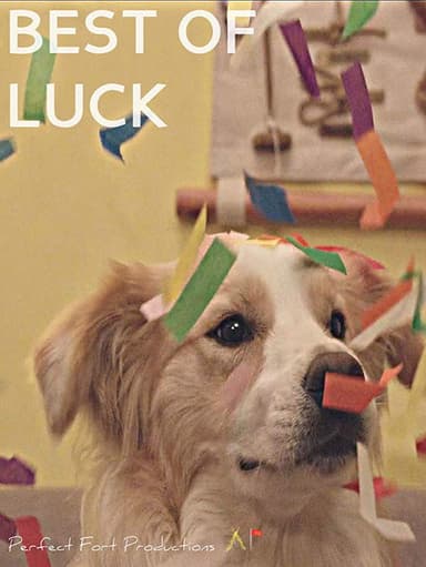 Best of Luck poster