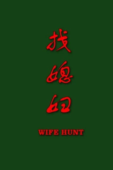 找媳妇 poster