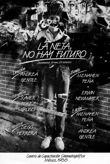 In Fact, There is not Future poster