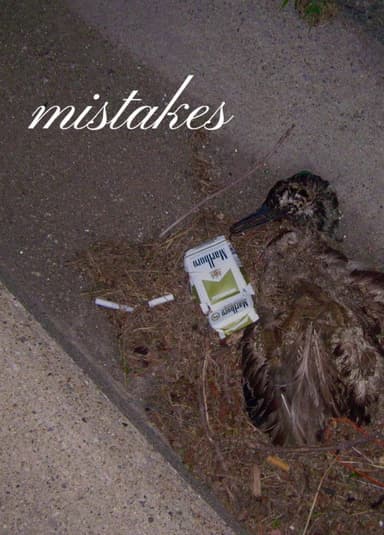 Mistakes poster