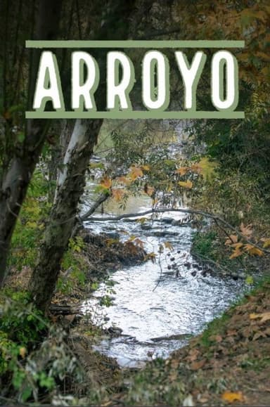 Arroyo poster