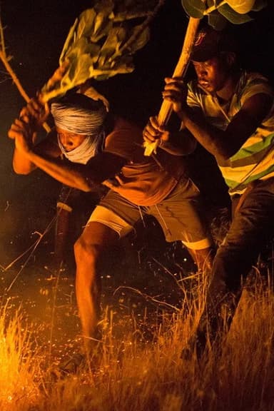 The Fire Brigade poster