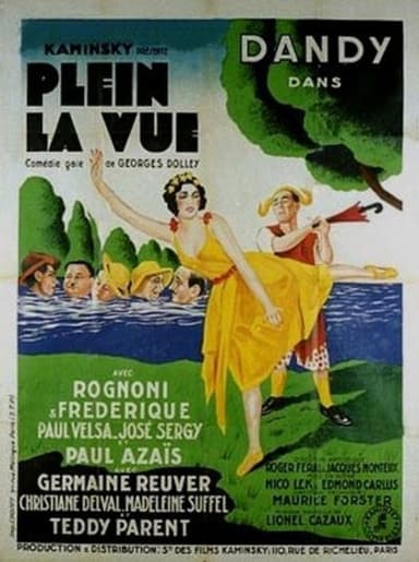 Full view poster