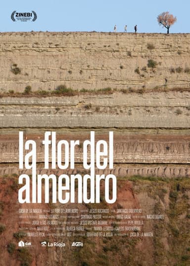 La flor del almendro poster