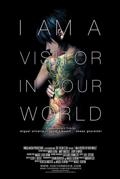 I Am a Visitor in Your World poster