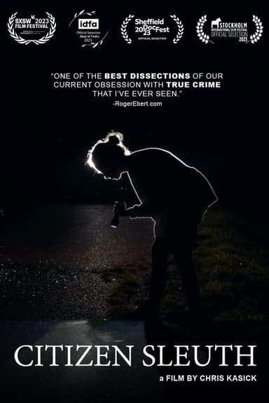 Citizen Sleuth poster
