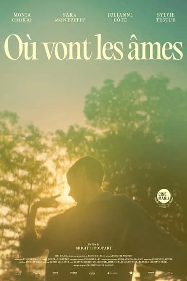 Where Souls Go poster