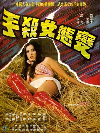 Mysterious Lady Killer poster