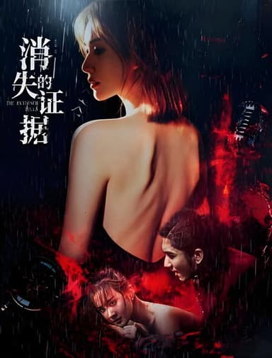 消失的证据 poster