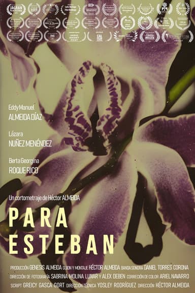 To Esteban poster