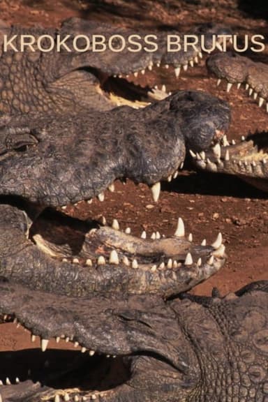 Boss Croc poster
