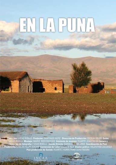 En la Puna poster