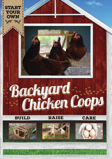 Backyard Chicken Coops poster