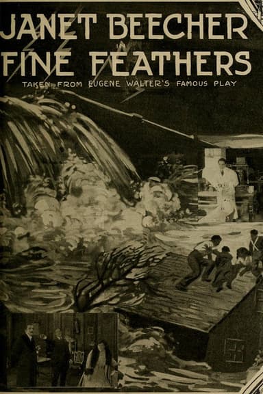 Fine Feathers poster